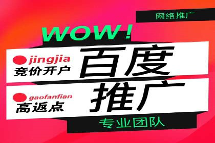 案例分析：百度推广代运营公司在行业中的应用与成效